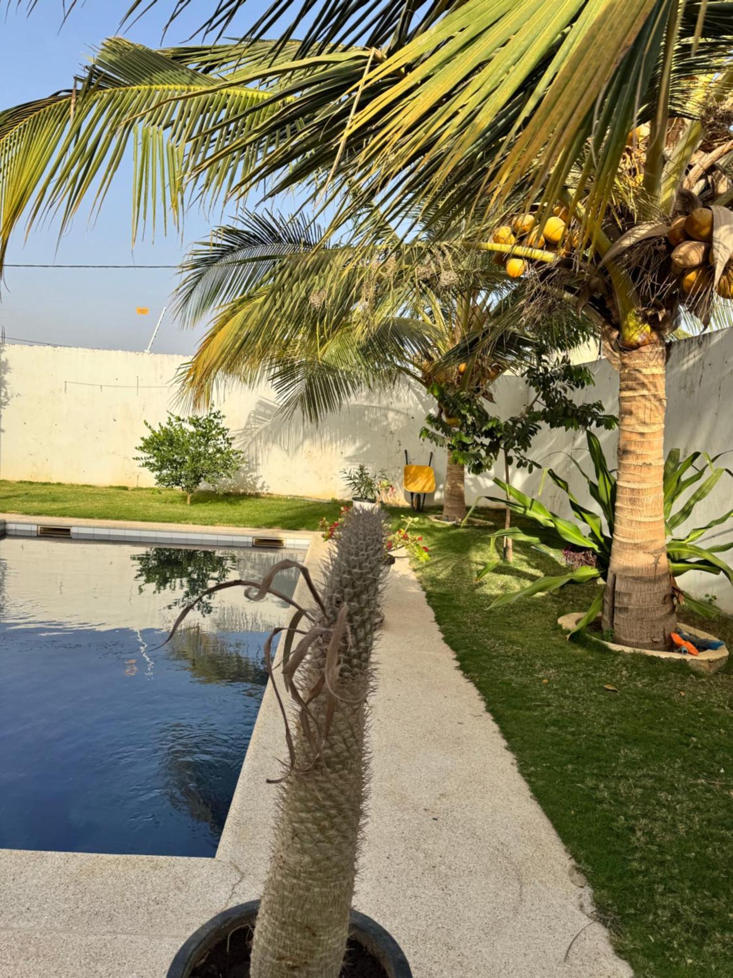 La Baraka, Extravagant Villa For 8 With Pool In Saly Gandigal Dış mekan fotoğraf